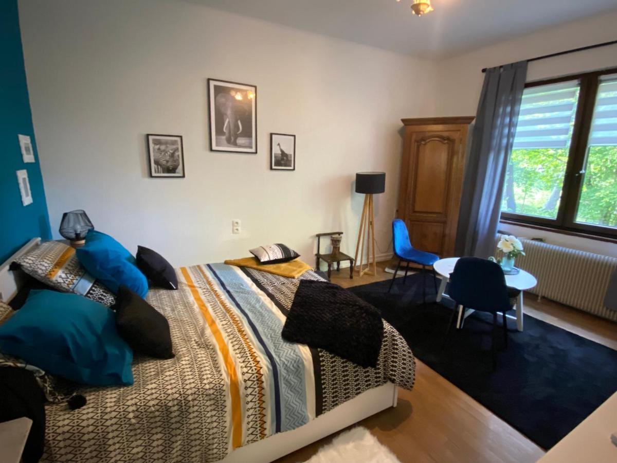 Magnifique Chambre Privée - Wifi - Parking - Jardin Wissembourg Exterior foto