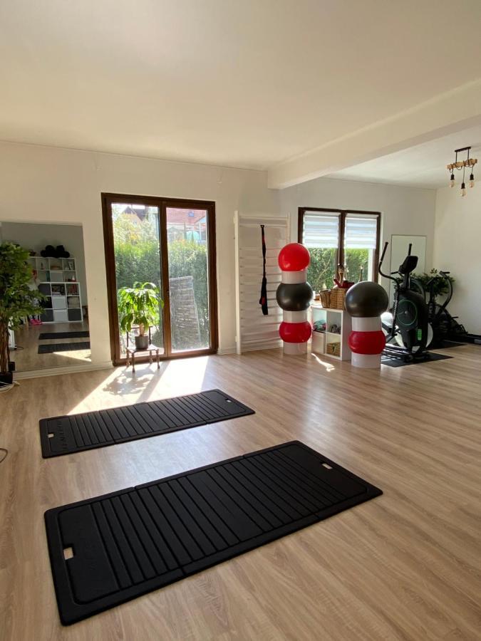 Magnifique Chambre Privée - Wifi - Parking - Jardin Wissembourg Exterior foto