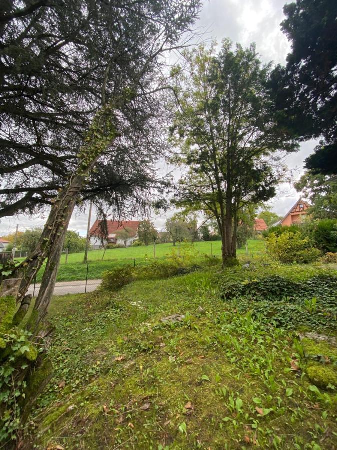 Magnifique Chambre Privée - Wifi - Parking - Jardin Wissembourg Exterior foto