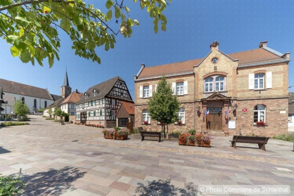 Magnifique Chambre Privée - Wifi - Parking - Jardin Wissembourg Exterior foto