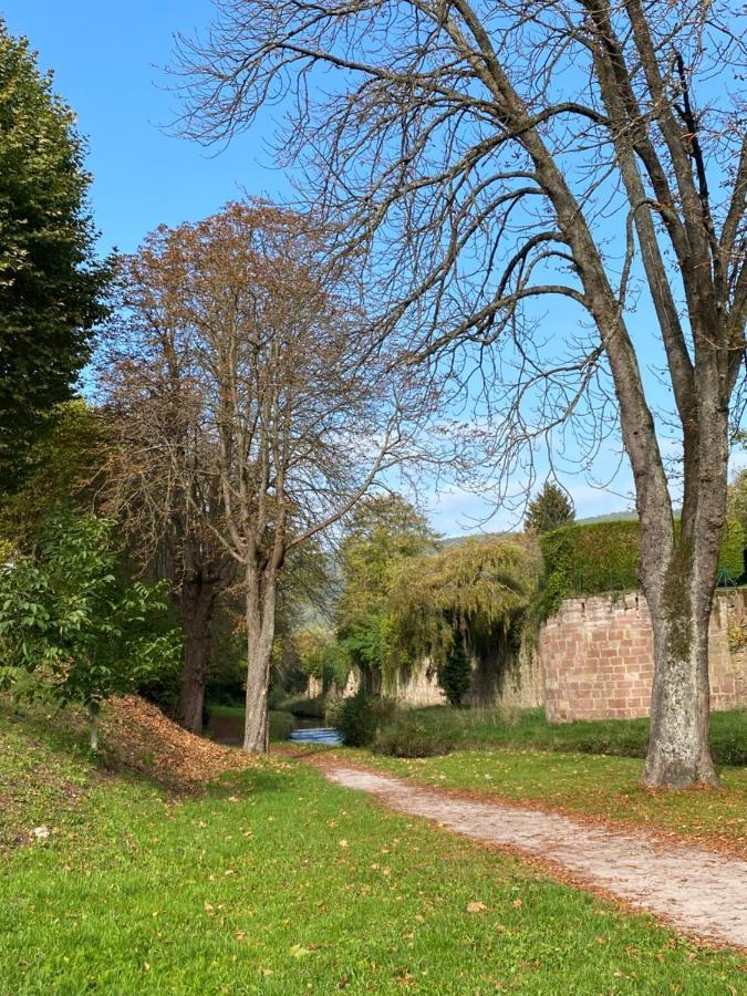 Magnifique Chambre Privée - Wifi - Parking - Jardin Wissembourg Exterior foto